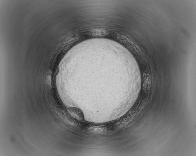 X0000110960655200907101328