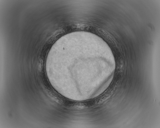 X0000110960656200907101328