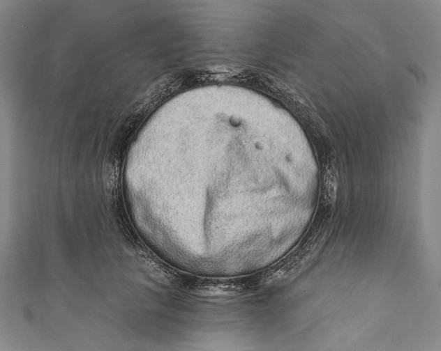 X0000110960657200907101328