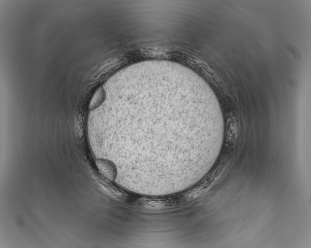 X0000110960658200907101328