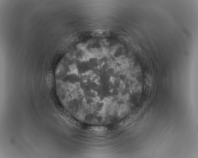 X0000110960659200907101328