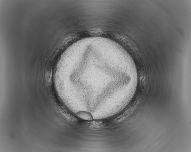 X0000110960660200907101328