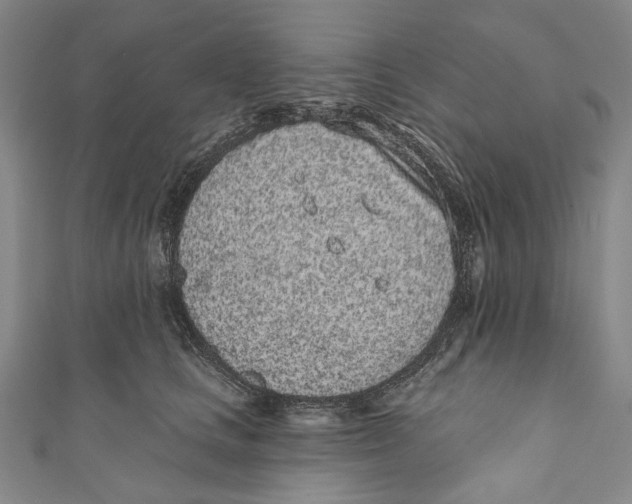 X0000110960661200907101328