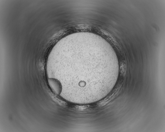 X0000110960662200907101328