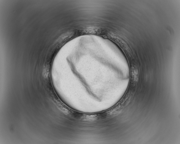 X0000110960665200907101328