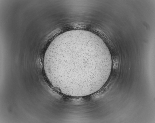 X0000110960666200907101328