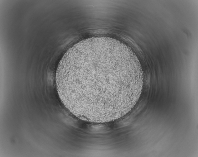 X0000110960669200907101328