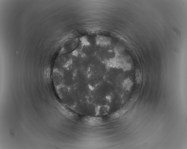 X0000110960670200907101329