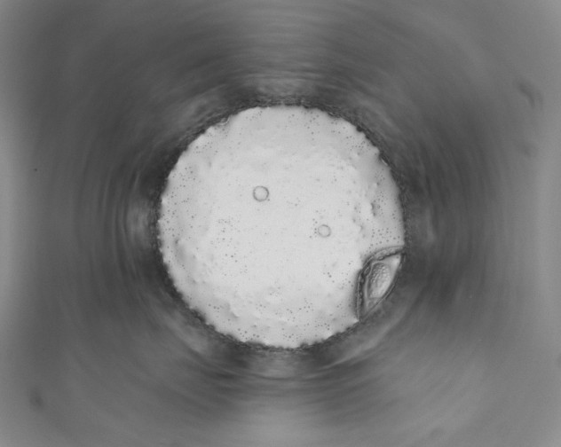 X0000110960671200907101329