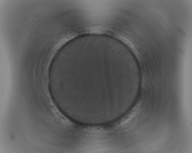 X0000110960673200907101328