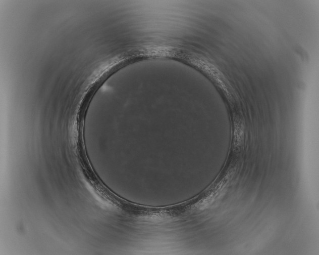 X0000110960674200907101328