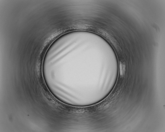 X0000110960675200907101328