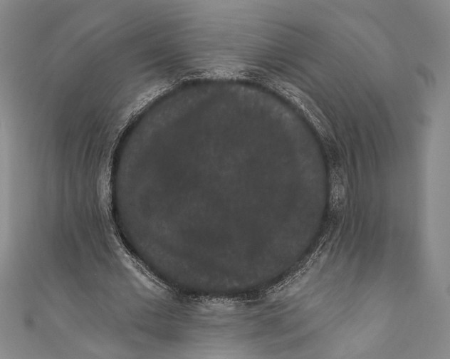 X0000110960677200907101328