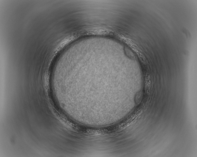 X0000110960679200907101328