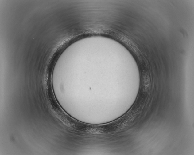 X0000110960680200907101328