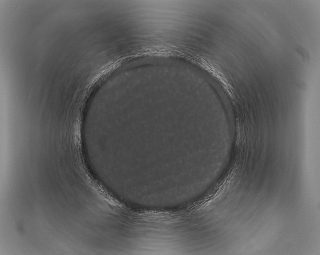 X0000110960681200907101328