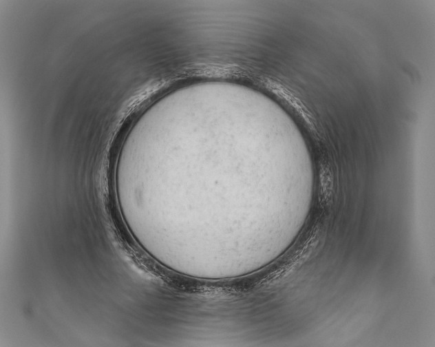 X0000110960682200907101328