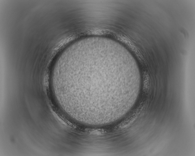 X0000110960683200907101328