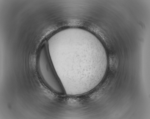 X0000110960684200907101328