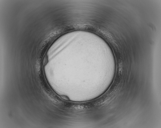 X0000110960687200907101328