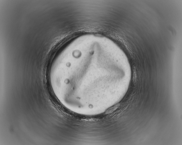 X0000110960688200907101328