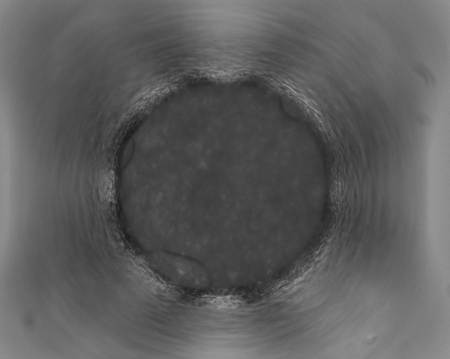 X0000110960689200907101328