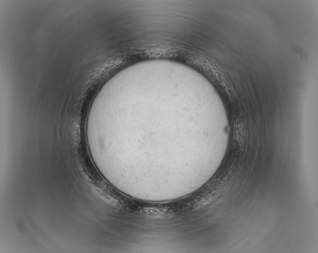 X0000110960690200907101328