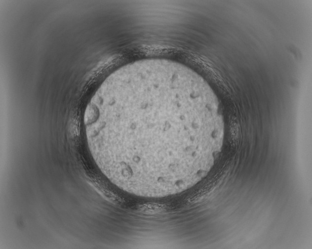 X0000110960691200907101328