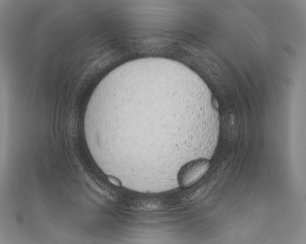 X0000110960692200907101328