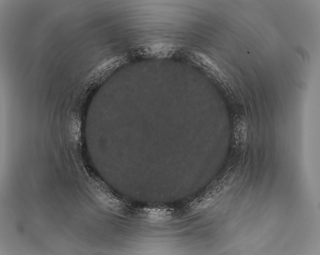 X0000110960693200907101328