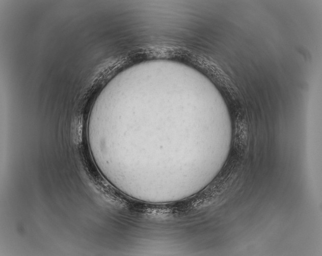 X0000110960694200907101328