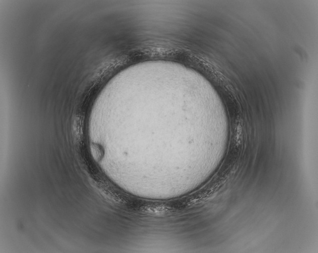 X0000110960695200907101328