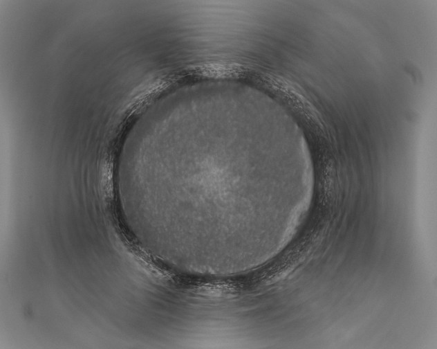 X0000110960696200907101328