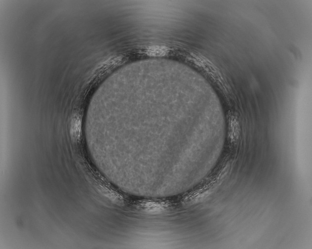 X0000110960697200907101328