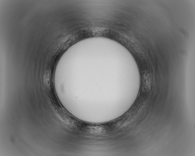 X0000110960698200907101328