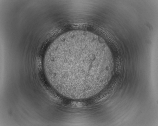 X0000110960699200907101328