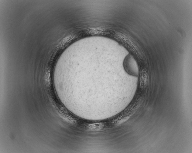 X0000110960700200907101328