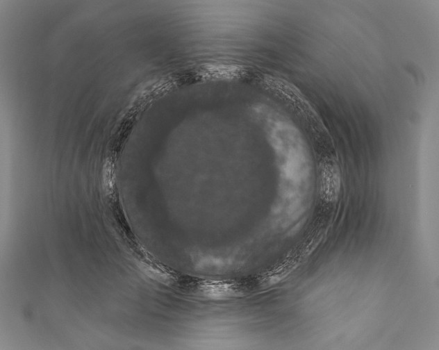 X0000110960701200907101328