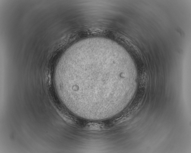 X0000110960703200907101328