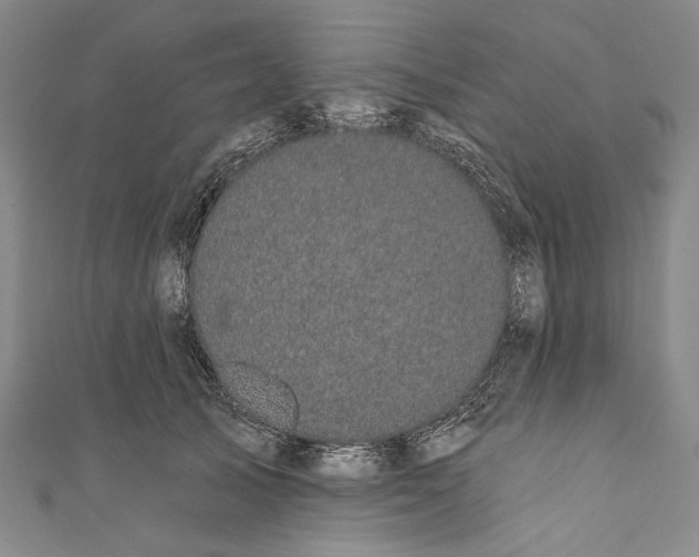 X0000110960705200907101328