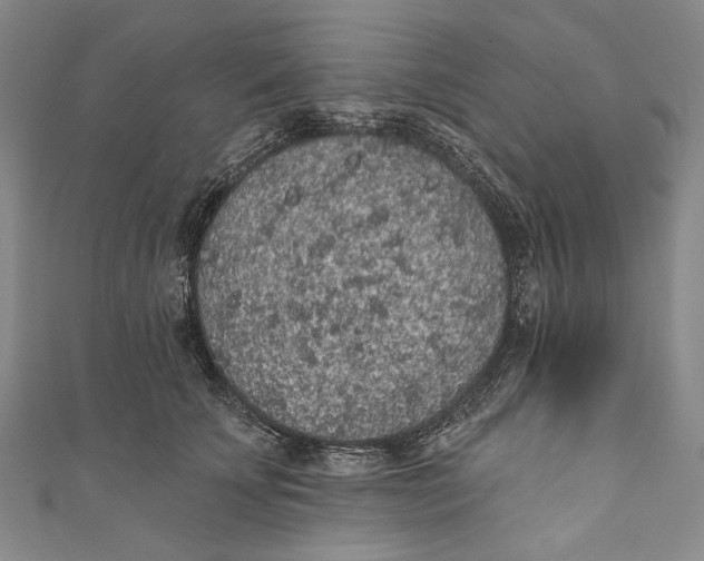 X0000110960707200907101327