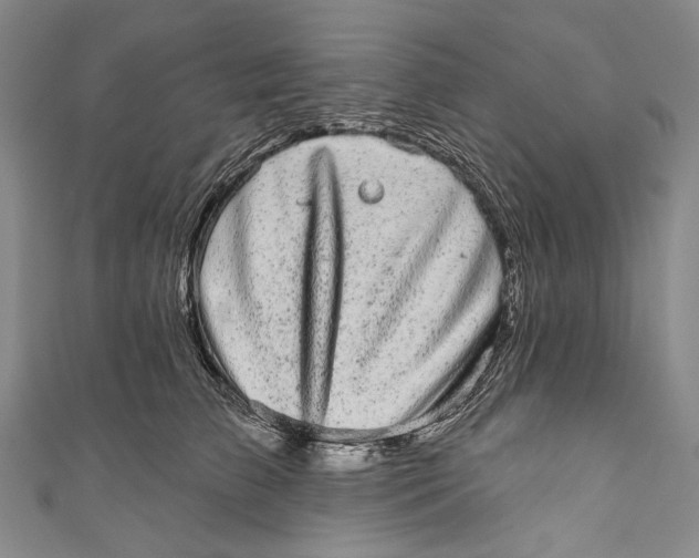 X0000110960709200907101327