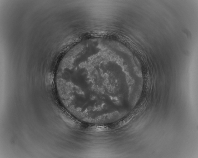 X0000110960711200907101327