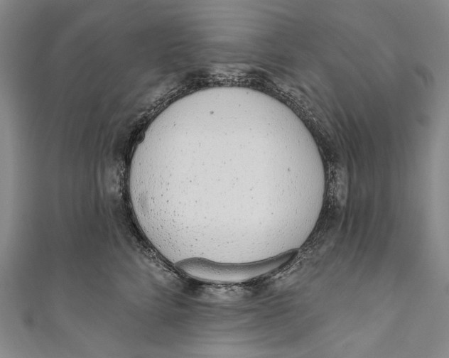 X0000110960712200907101327