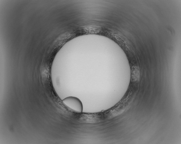 X0000110960713200907101327