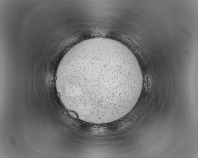 X0000110960714200907101327