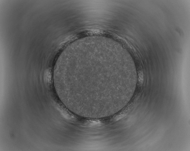 X0000110960715200907101327