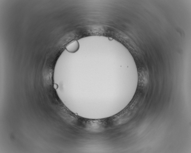 X0000110960717200907101327