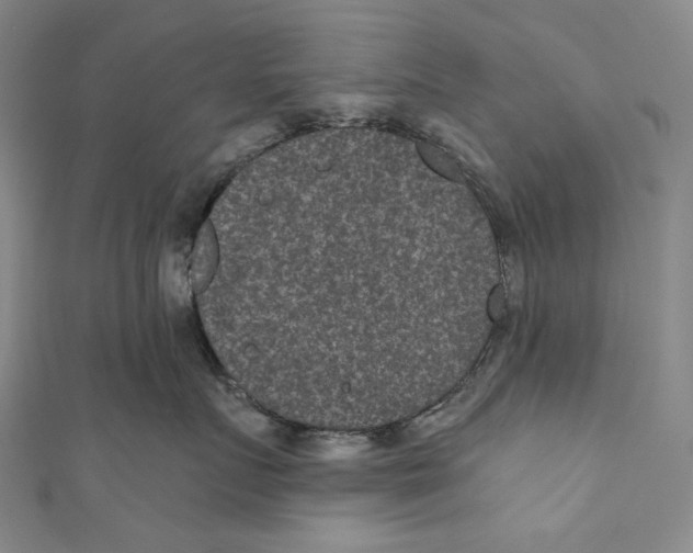 X0000110960719200907101327