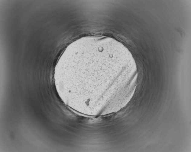 X0000110960720200907101327